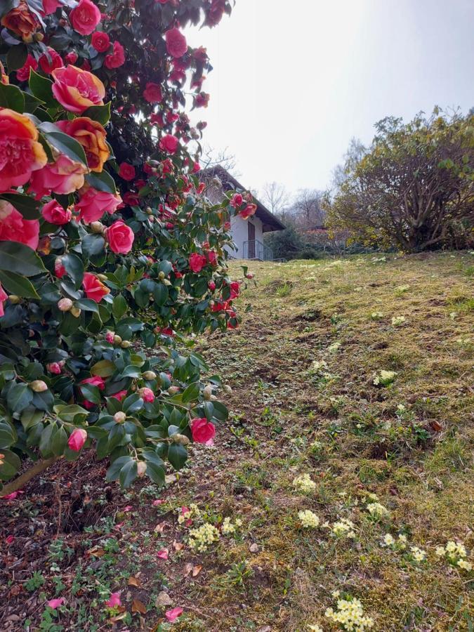 스트레사 La Casa Delle Camelie 빌라 외부 사진
