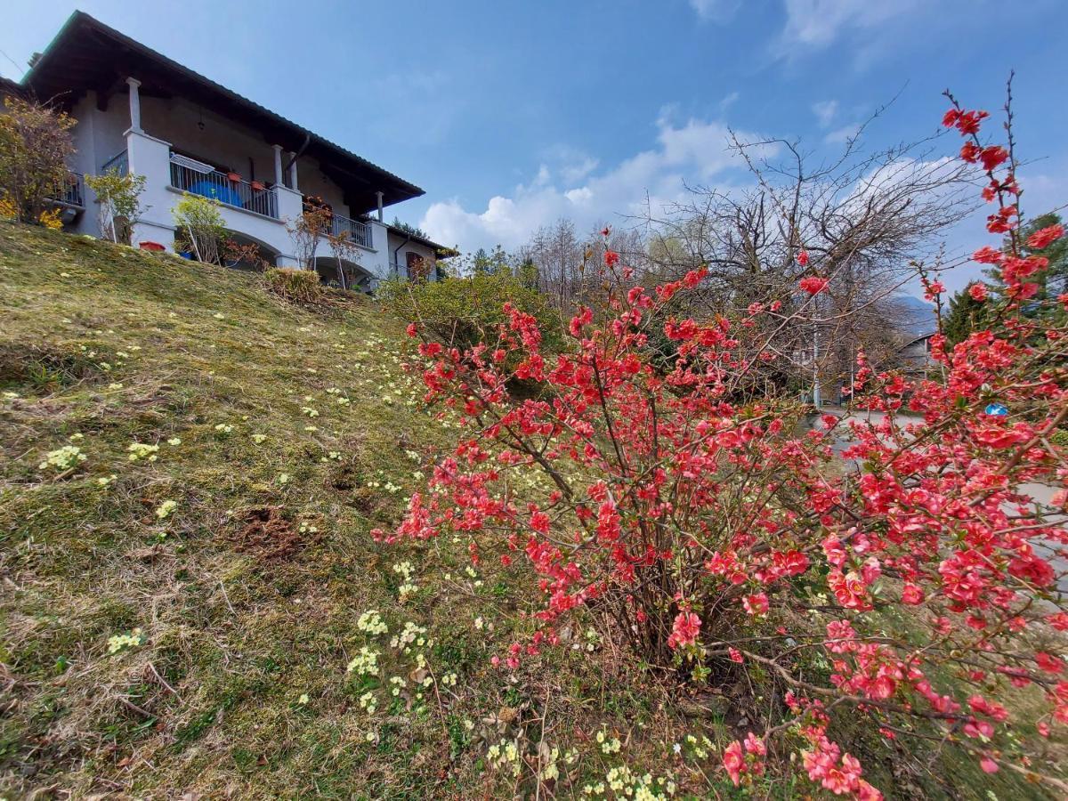 스트레사 La Casa Delle Camelie 빌라 외부 사진